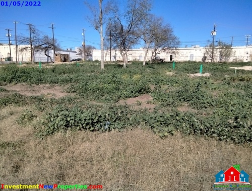 20220105_114534.jpg