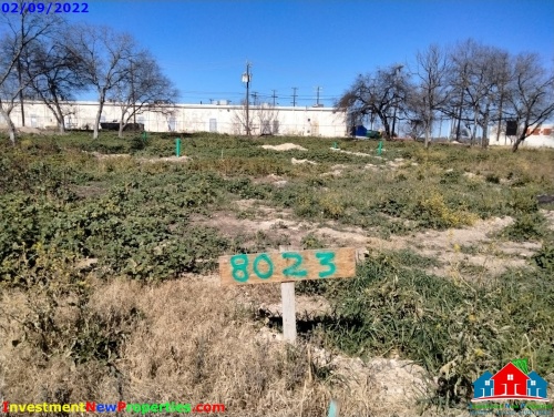 20220209_134246.jpg